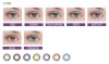 adria color2